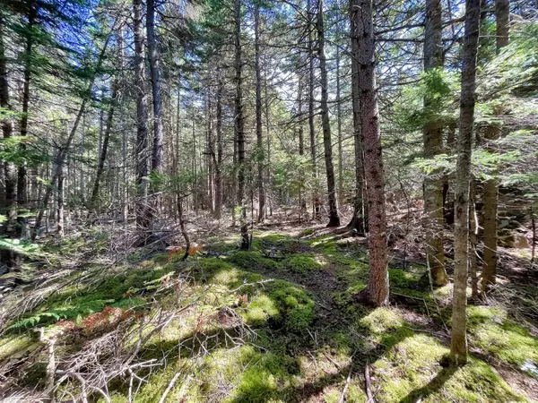 Stonington, ME 04681,91A S Burnt Cove RD