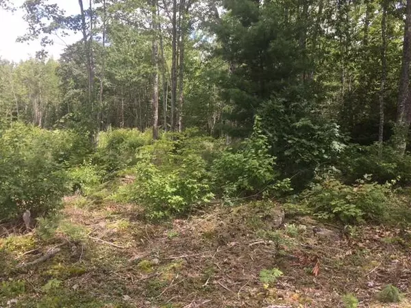 Ellsworth, ME 04605,00 Bucksport RD