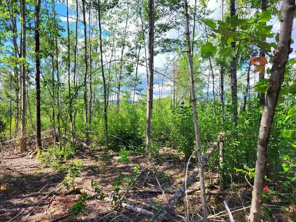 Phillips, ME 04966,Lot 2 Rangeley RD