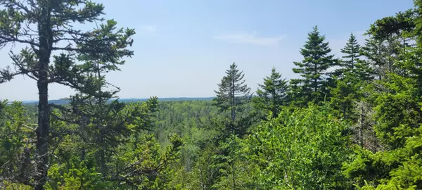 Roque Bluffs, ME 04654,Lot 84 Duck Cove RD