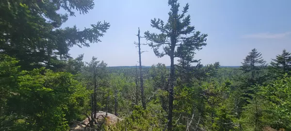 Roque Bluffs, ME 04654,Lot 84 Duck Cove RD