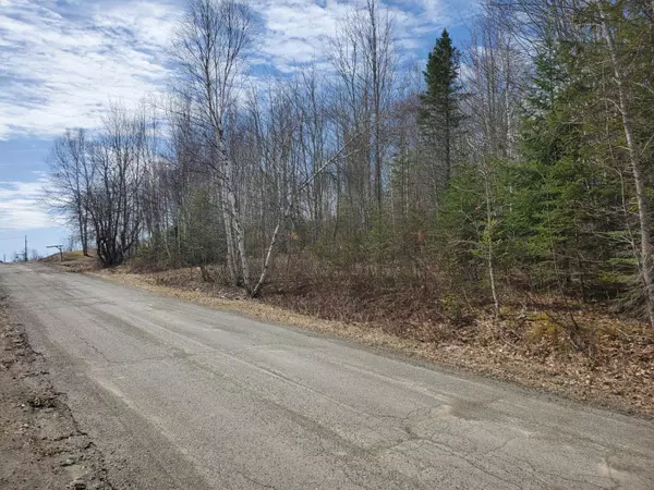 Danforth, ME 04424,Lot 1 Baker Ridge RD