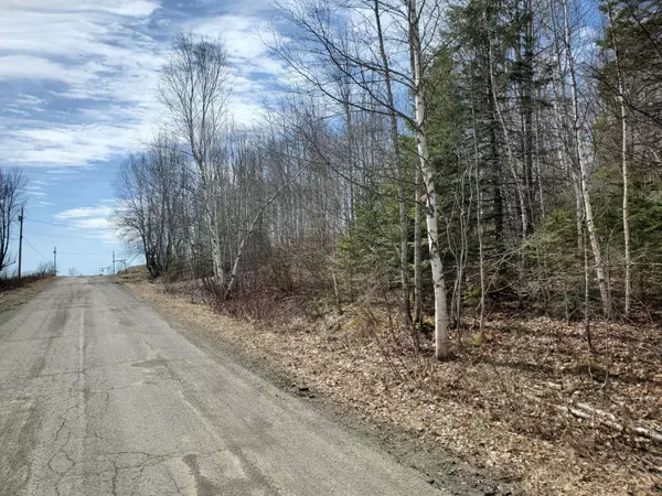 Danforth, ME 04424,Lot 1 Baker Ridge RD