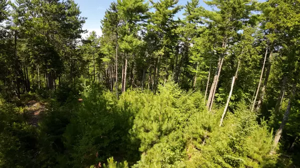 Beddington, ME 04622,M6 L19 South West Brook LN