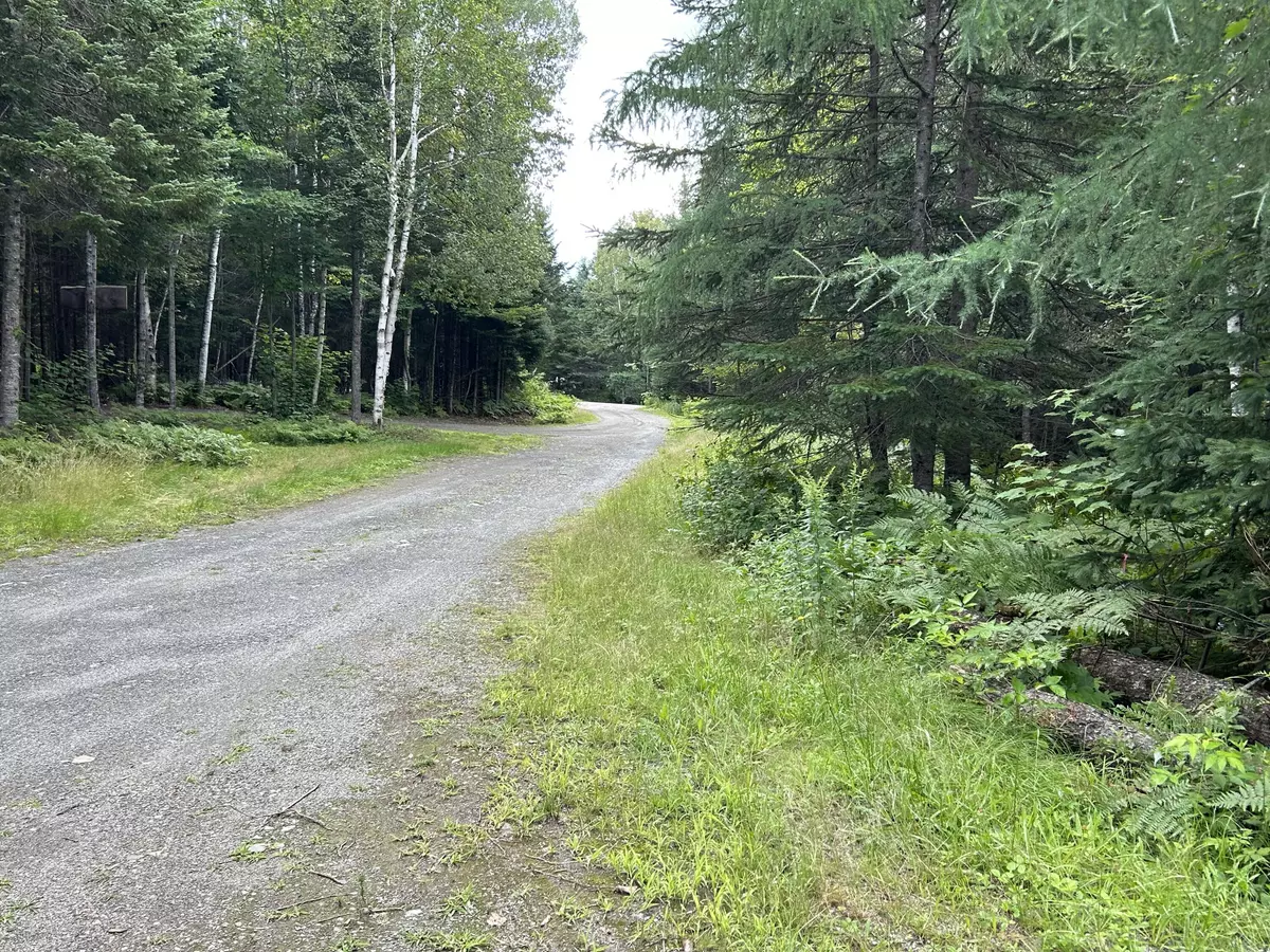 Rangeley, ME 04970,Lot 2-1 Raven CT