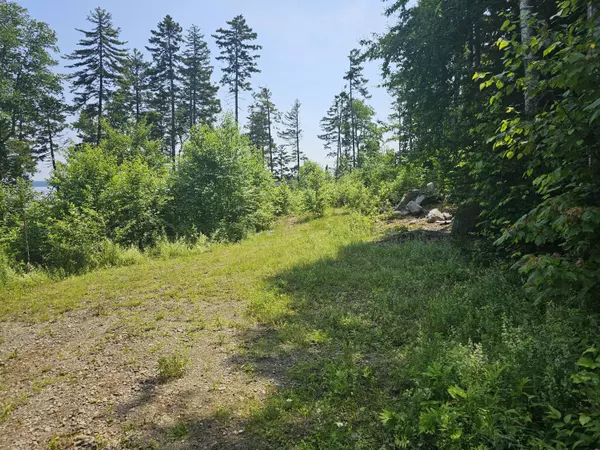 Danforth, ME 04424,Lot 7 Boulder RD
