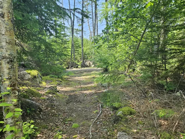 Danforth, ME 04424,Lot 7 Boulder RD