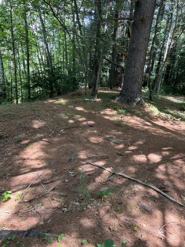 Norridgewock, ME 04957,85 Perkins RD