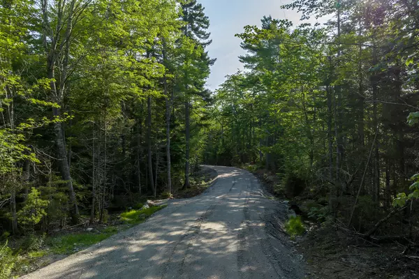 Mount Desert, ME 04660,Map 10 Patty Lot RD