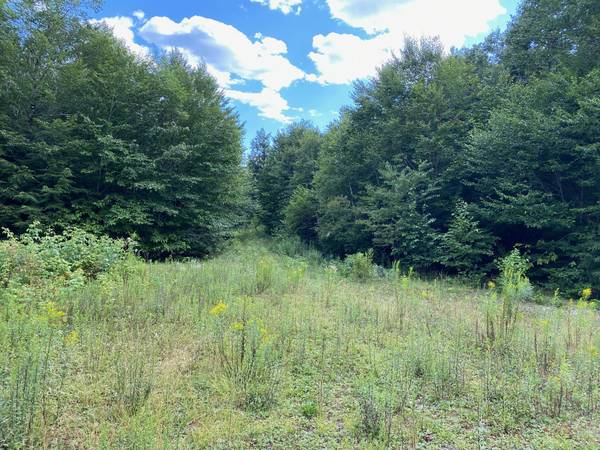 Lot WA1 Partridge Knoll, Cathance Twp, ME 04628