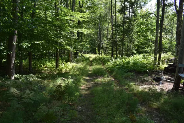 Woodstock, ME 04219,27 Sleepy Hollow RD