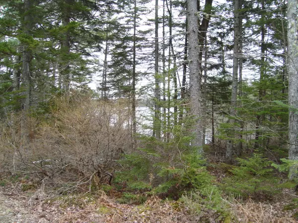 Cooper, ME 04657,Lot H Birch Point RD