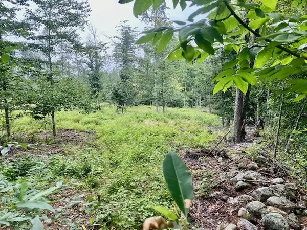 3.86AC Mudgett RD, Parsonsfield, ME 04047