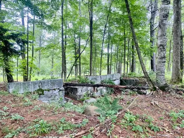 Parsonsfield, ME 04047,8AC Mudgett RD