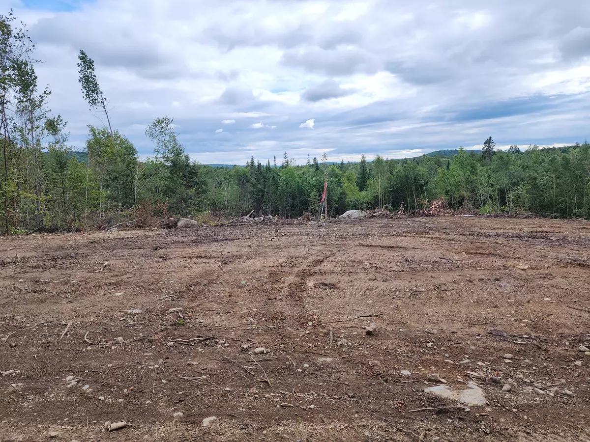 Springfield, ME 04487,12N Guinness Lane RD