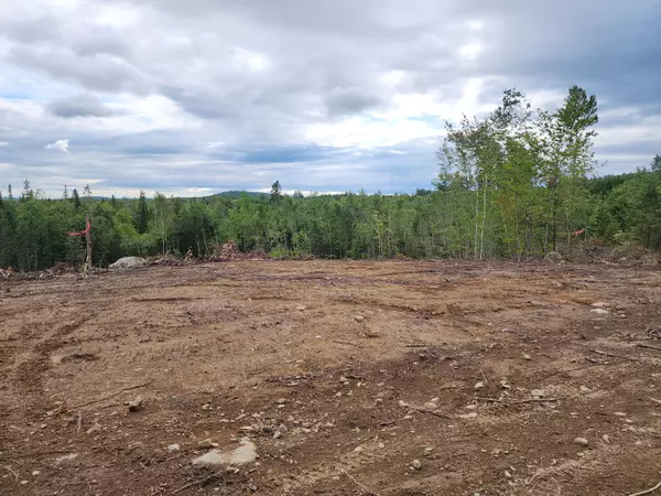 Springfield, ME 04487,12N Guinness Lane RD