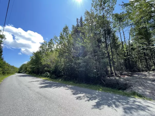 Milbridge, ME 04658,Lot #183B Rays Point Road