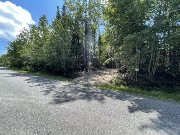 Lot #183B Rays Point Road, Milbridge, ME 04658