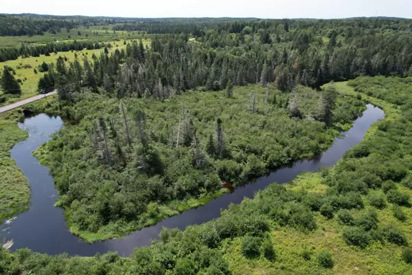 Trescott Twp, ME 04652,Lot 9 Wilcox RD