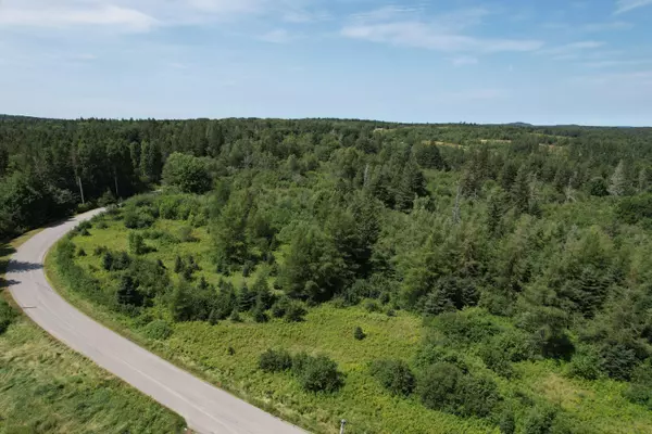 Trescott Twp, ME 04652,Lot 9 Wilcox RD