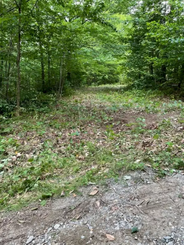 Concord Twp, ME 04920,MSO081 L5-4 Daniel RD