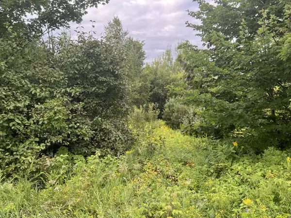 Etna, ME 04434,1131 Stage RD