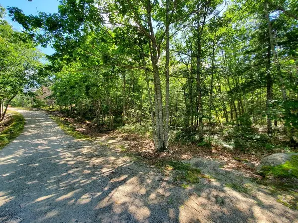 Cherryfield, ME 04622,1289 Lane RD