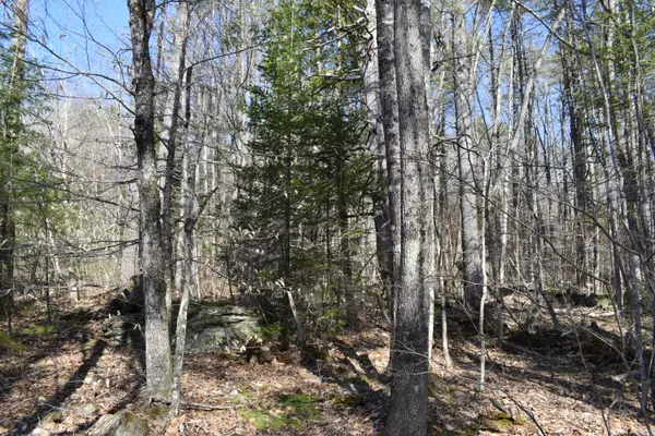 Winthrop, ME 04364,M35A L8-12 Fellows LN