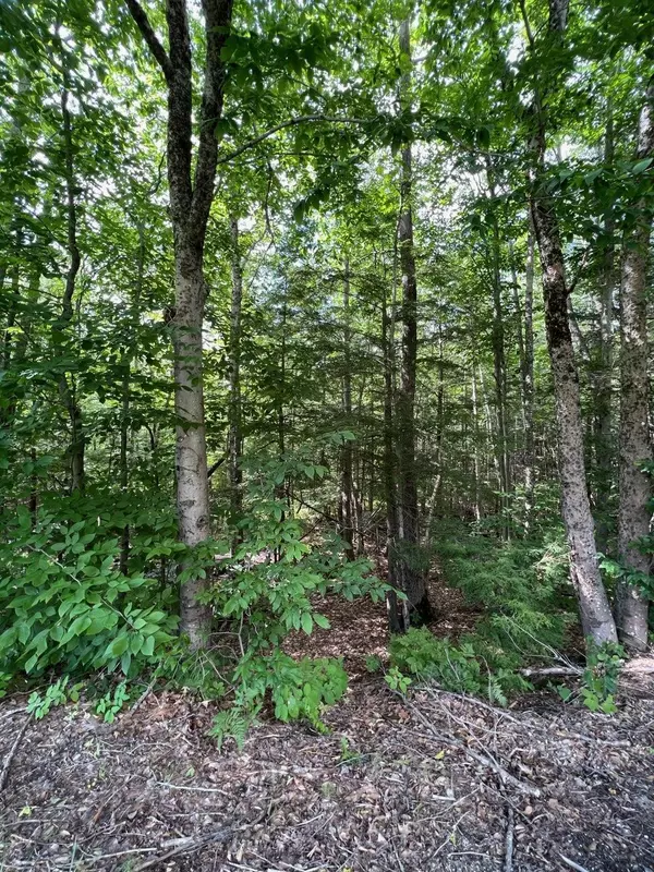 Freeport, ME 04032,0 Curtis RD