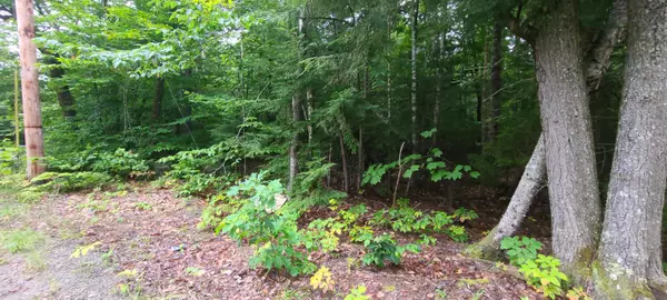 Otis, ME 04605,Lot 7-2 Rocky Cove RD