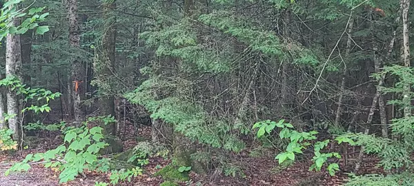 Otis, ME 04605,Lot 7-2 Rocky Cove RD