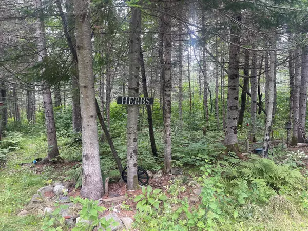 Woodland, ME 04736,590 Tabor RD