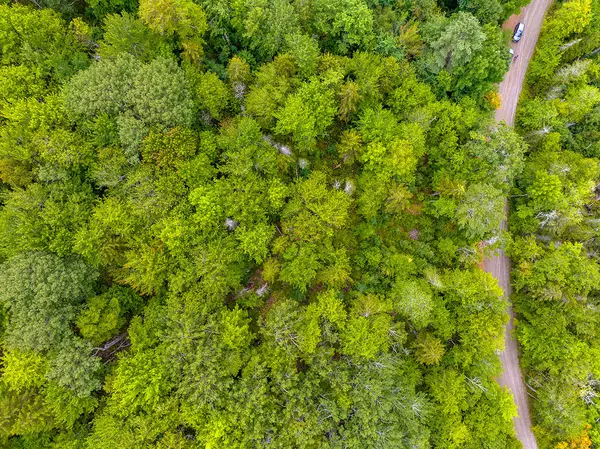 Northport, ME 04849,237 Knights Pond RD