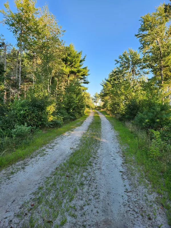 Surry, ME 04684,Lot 23 Granite Rock CIR N