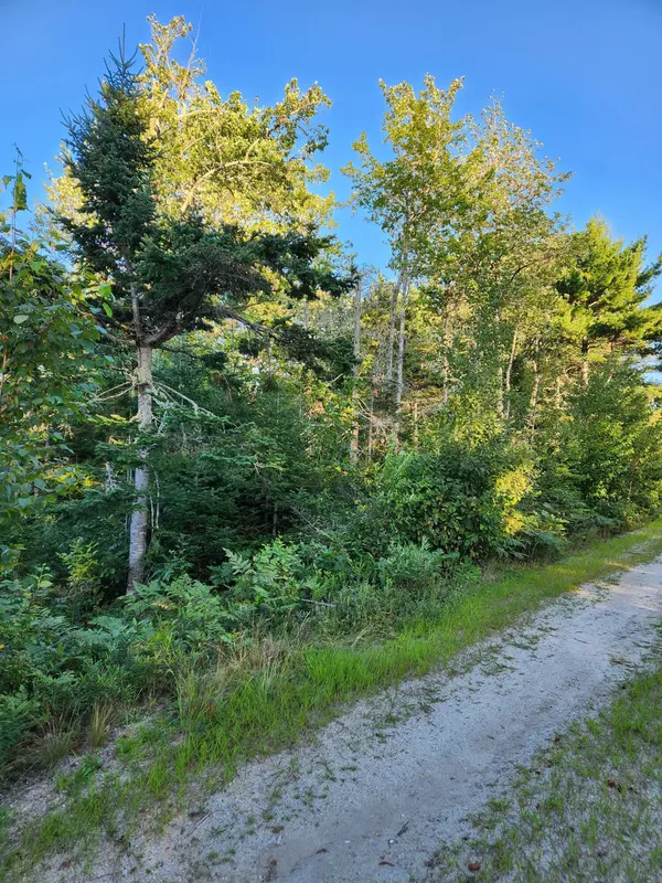 Lot 23 Granite Rock CIR N, Surry, ME 04684