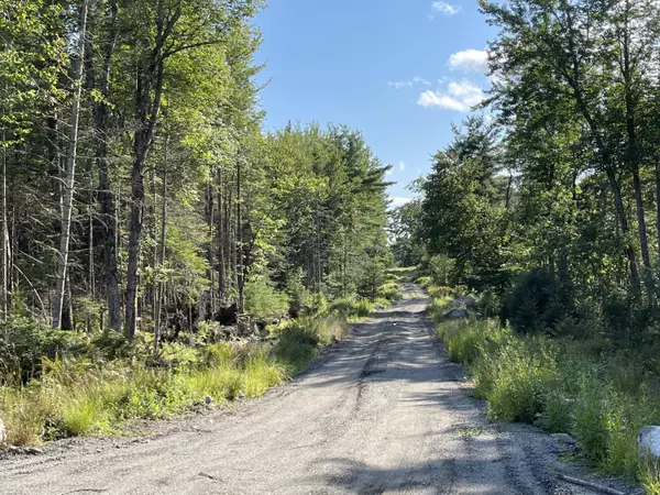 Surry, ME 04684,lot 18 Granite Rock Circle North RD