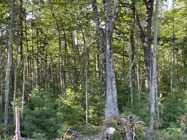 Surry, ME 04684,lot 18 Granite Rock Circle North RD