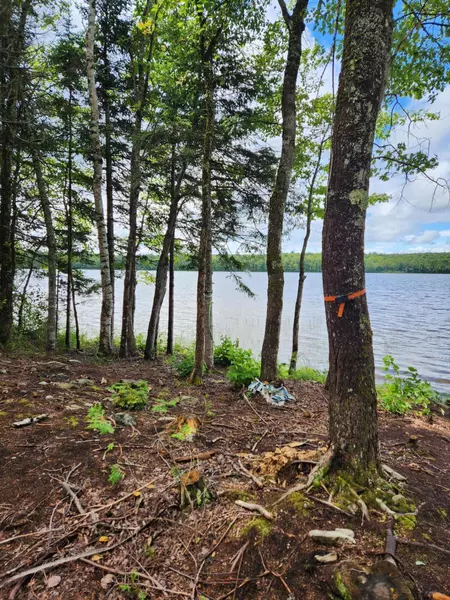 Lot 39 Woodland Ridge RD, Danforth, ME 04424