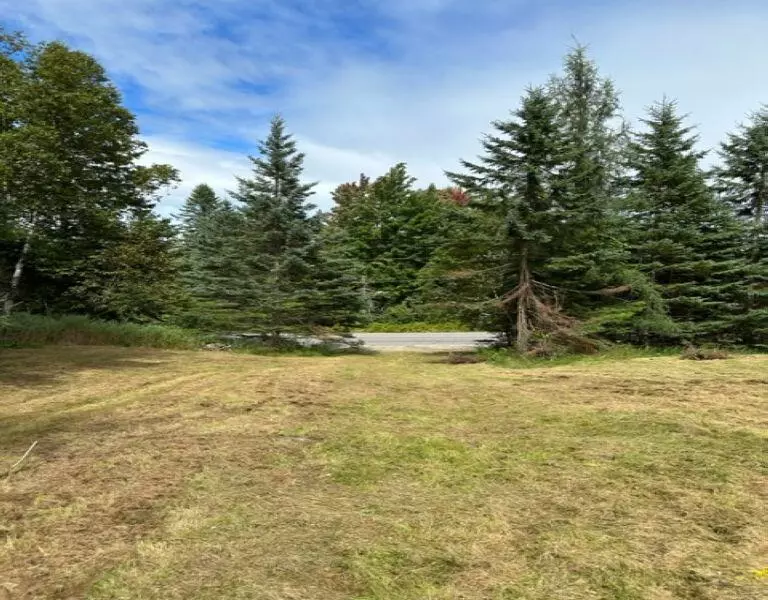 Upton, ME 04261,217 Thistle ST