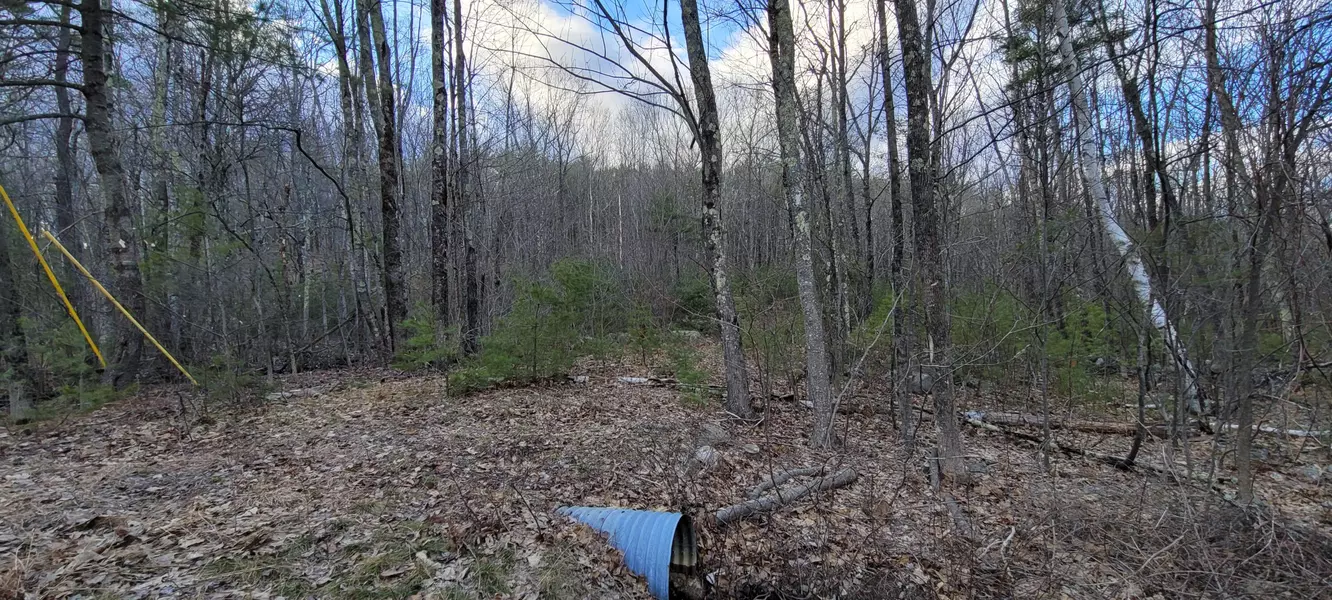 Lot 44-2 South Waterboro RD, Lyman, ME 04002