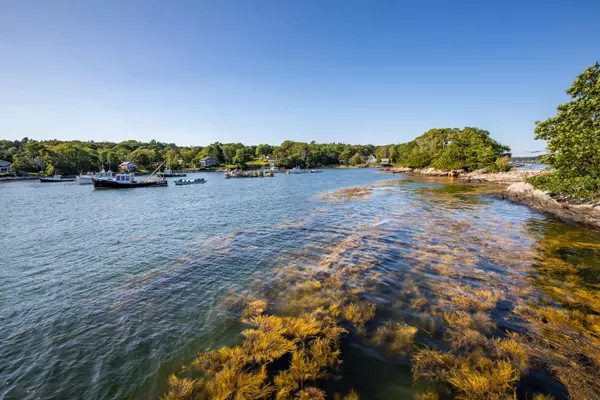 Harpswell, ME 04079,19 Weezie WAY