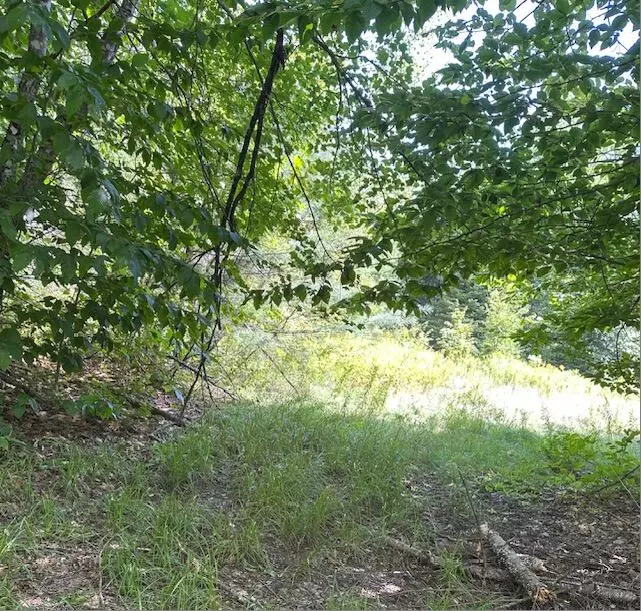 Saint Albans, ME 04971,0 Nate Richards RD