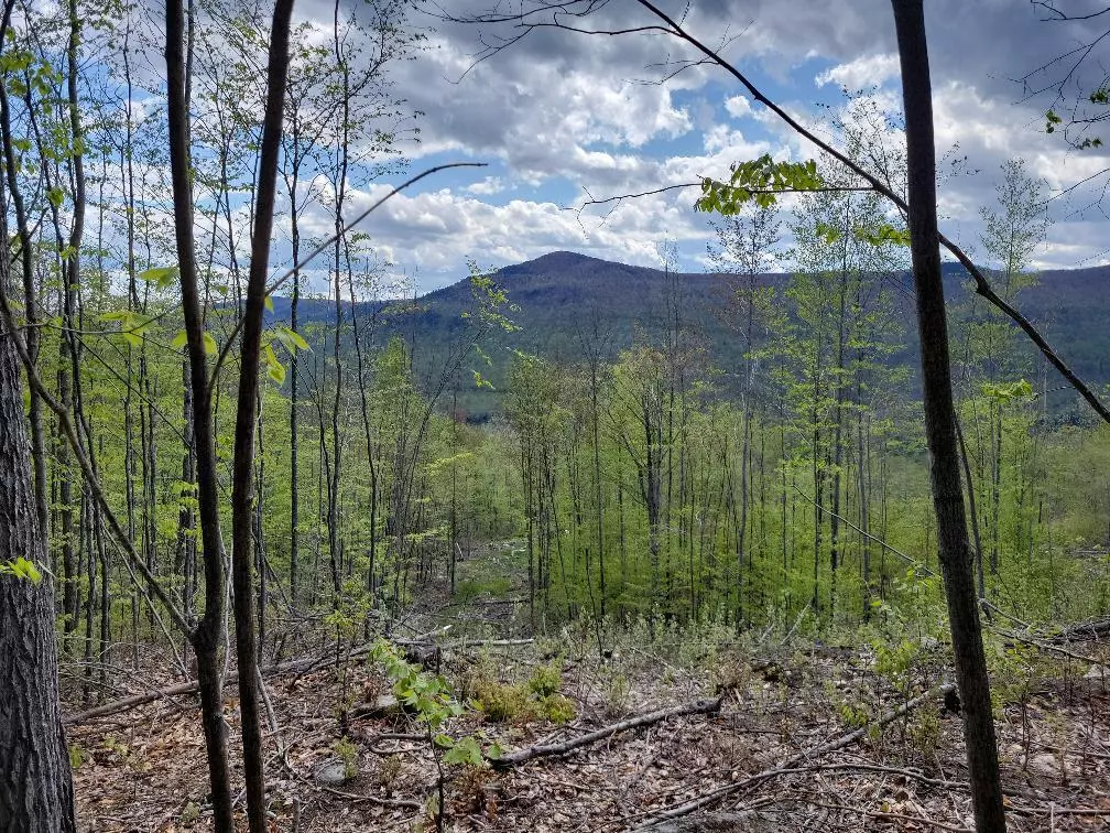 Byron, ME 04257,Lot 11 Swift River Route 17 RD