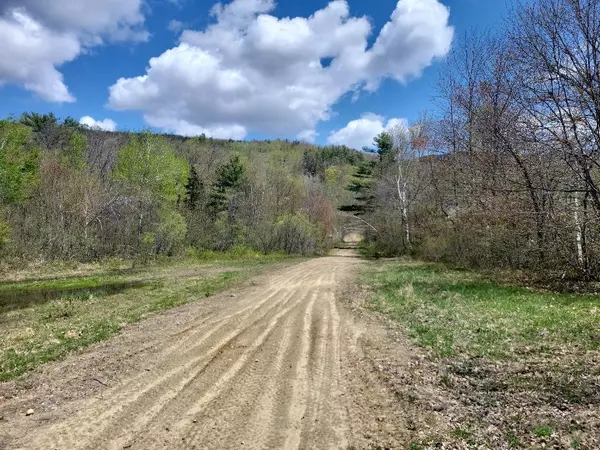 Byron, ME 04257,Lot 11 Swift River Route 17 RD