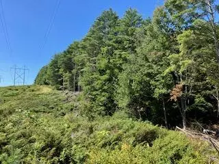 Shapleigh, ME 04076,Lot #2 Back RD