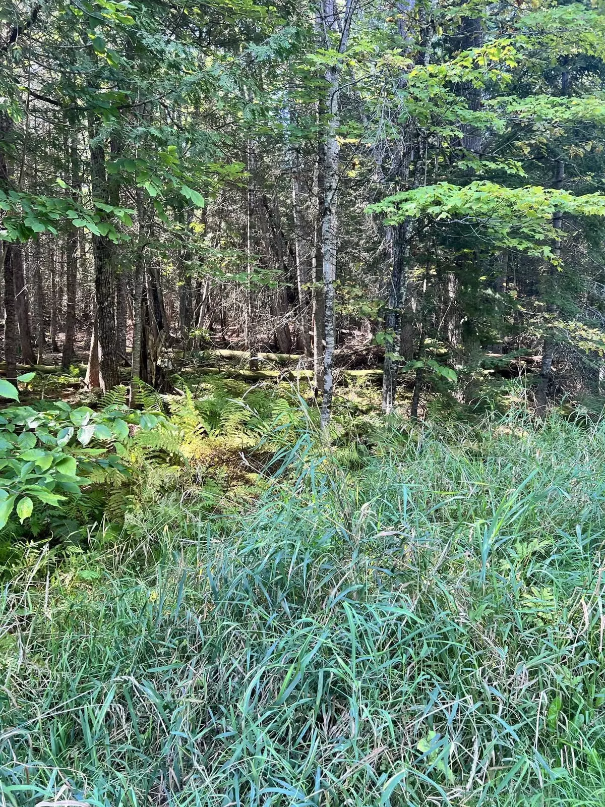 Saint Albans, ME 04971,29 Pine Grove DR