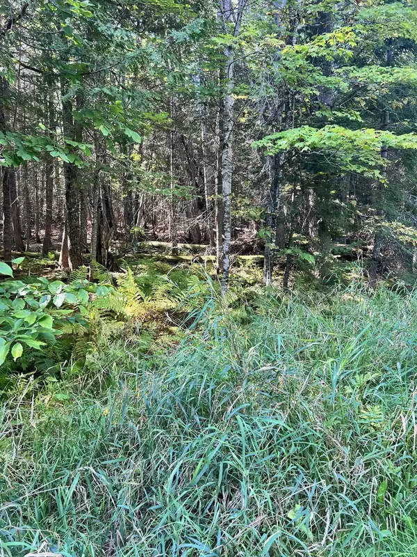 29 Pine Grove DR, Saint Albans, ME 04971