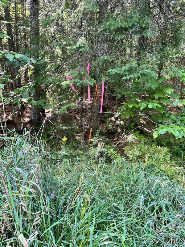 Saint Albans, ME 04971,29 Pine Grove DR