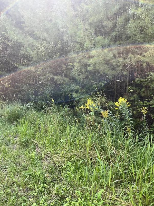 Saint Albans, ME 04971,29 Pine Grove DR