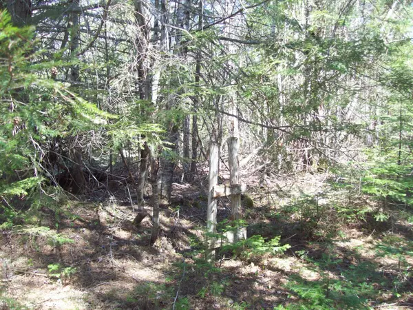 Lee, ME 04455,tbd off Mallet's Mill Road